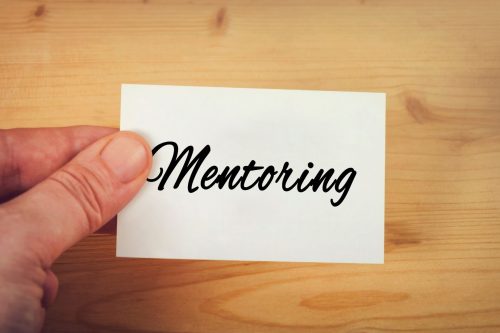 1:1 mentoring program